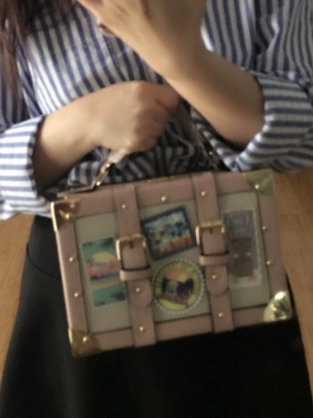 ALDO Structured Pink Mini Trunk Bag with Decorative Travel Panels